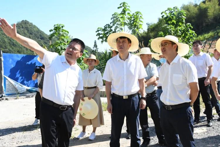 武义温泉旅游度假区-武义温泉旅游度假区管委会主任