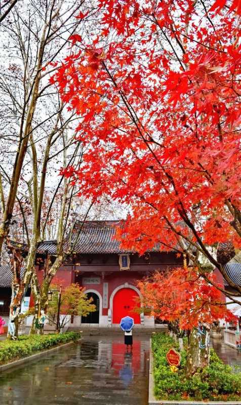 栖霞山风景区最佳时间-栖霞山风景区最佳时间2020