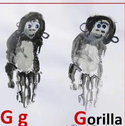 gorilla_gorilla选手