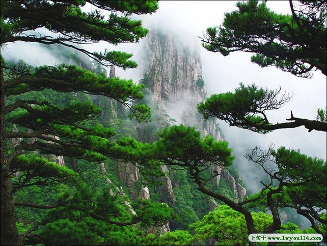 黄山旅游旅行社报价-黄山旅游旅行社报价表