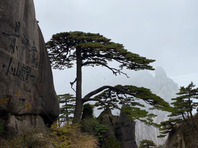 黄山风景区主要景点-黄山风景区主要景点是哪些